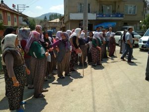 35518040_1758302397587457_9102357523653984256_n_1758302394254124