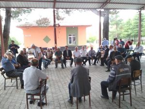 35882086_1761703363914027_6666554177067417600_n_1761703353914028