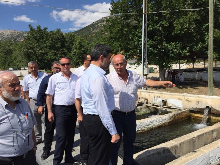 37193439_1799996326751397_7380186735877029888_n_1799996313418065