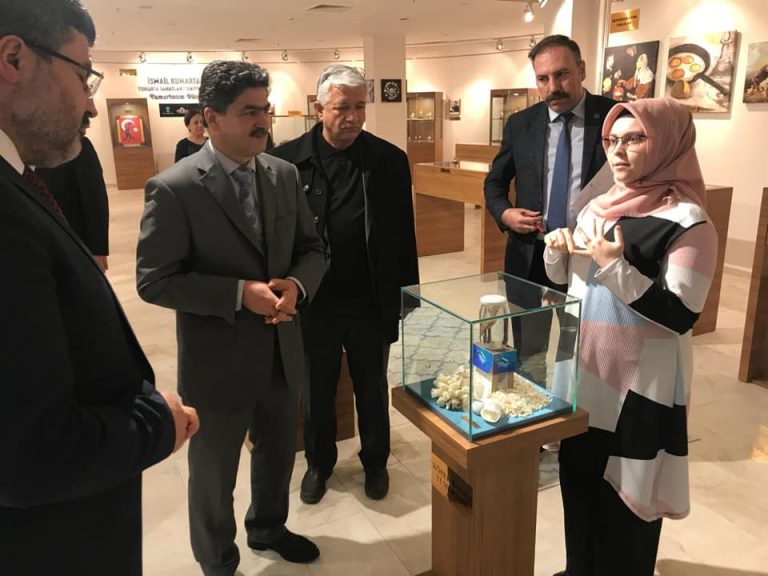 50773195_2085332864884407_2702387508473233408_n_2085332858217741