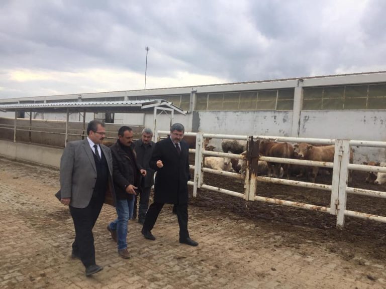 53160200_2139723969445296_1508472061444489216_n_2139723962778630