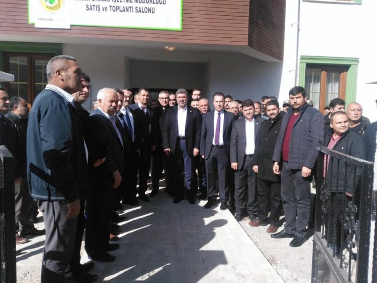 53381728_2132241793526847_3841237703785971712_n_2132241786860181