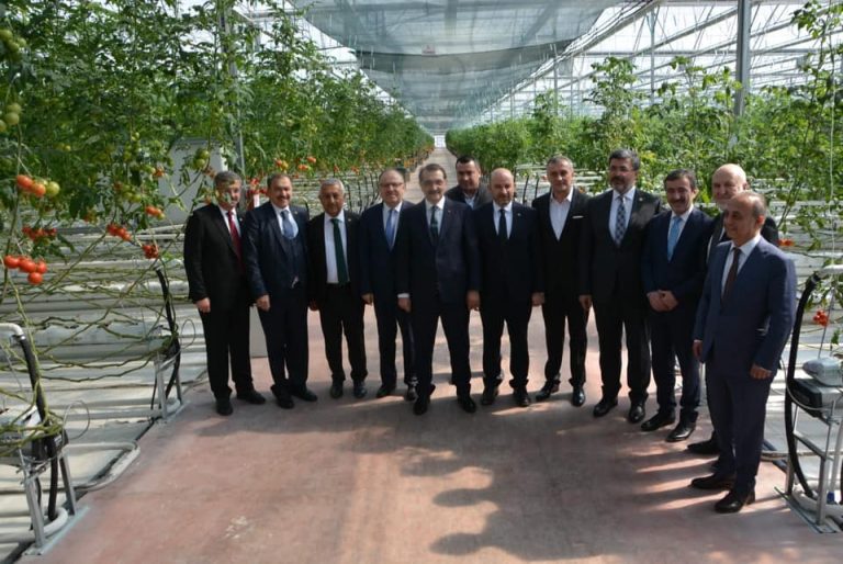 54267964_2157082297709463_1032097155378053120_n_2157082294376130